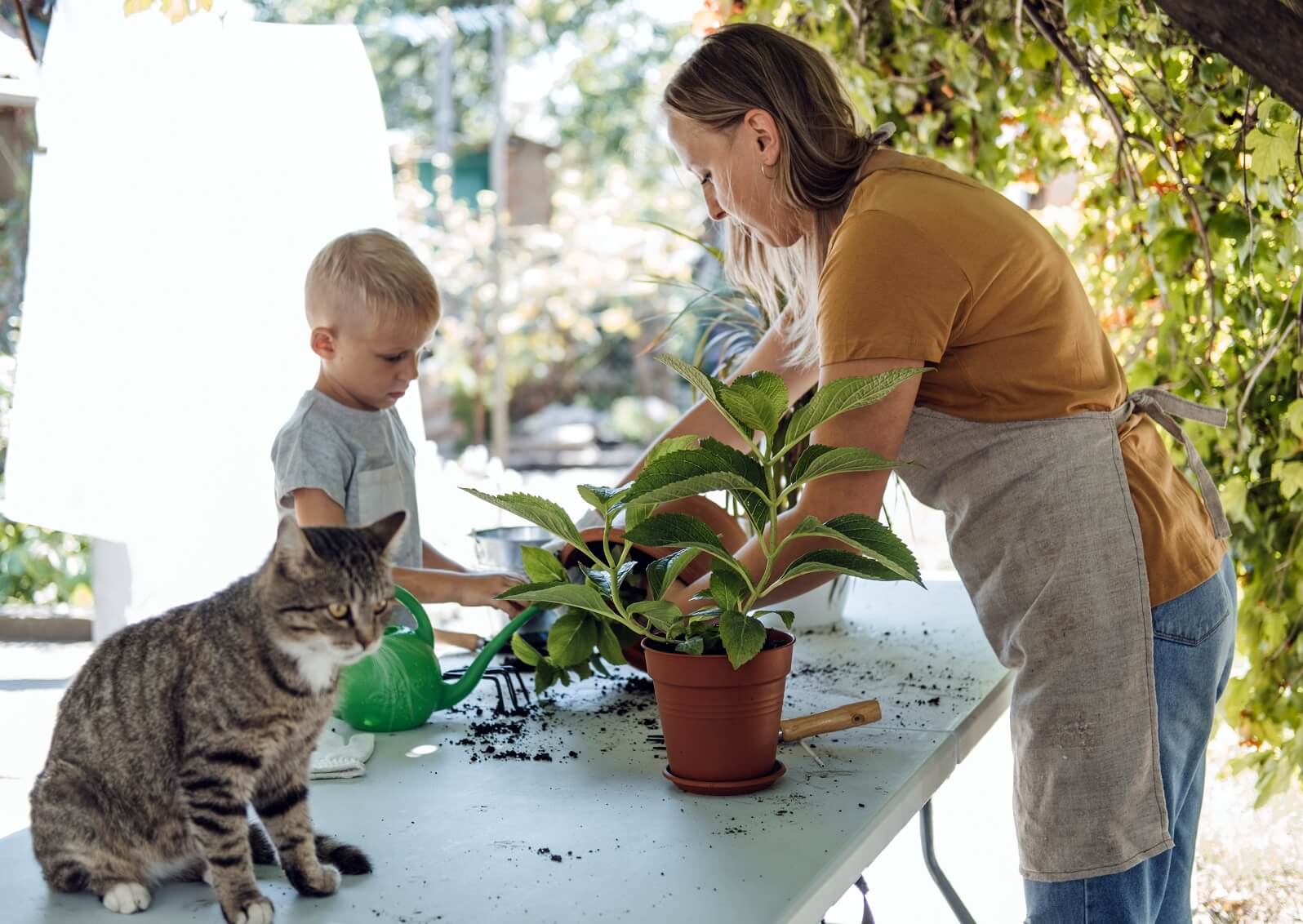 Kvinde med dreng og kat ved havebord