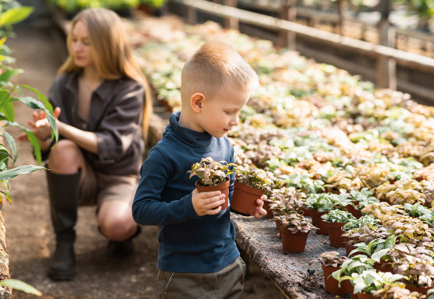 Dreng i drivhus med planter i hånden