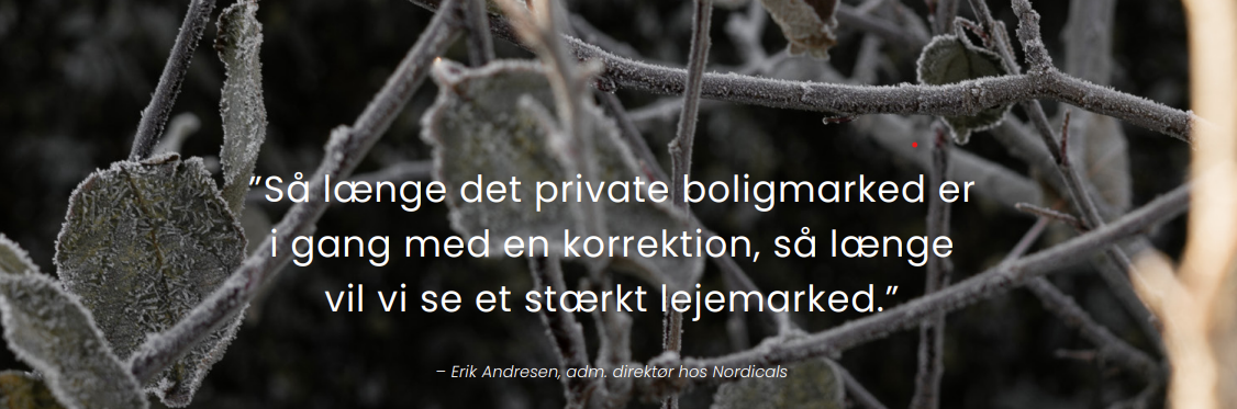 Citat om det private boligmarked og lejemarkedet fra Erik Andresen